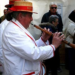 photo "musician in the street"