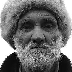 фото "седина в бороду ..."