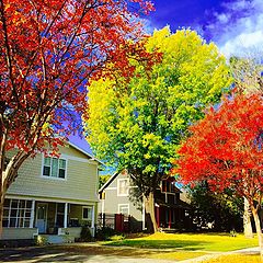 photo "Autumn Neighborhood"