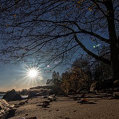 фото "Петергоф"