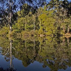 фото "Margaret river"