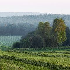 фото "Полосатое поле..."