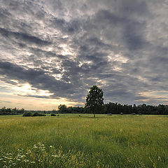 фото "" Родина ""