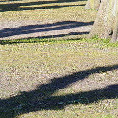 photo "Shadow"