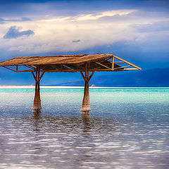 фото "Dead Sea 2129"