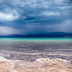 photo "Dead Sea 2179"