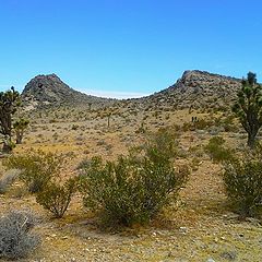 photo "Mojave Landscape"