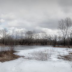 фото "Апрель."