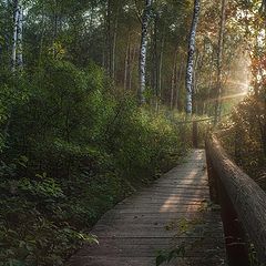 фото "Теряется в августе лето"