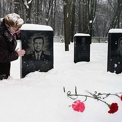 фото "Встретились..."