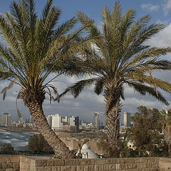 фото "Вид на Тель-Авив"