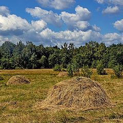 фото "Сенокос"