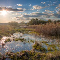 фото "Весенняя..."