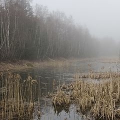 фото "Апрельское утро"