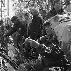 фото "Садоводы. Дачный сезон."