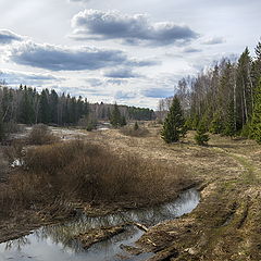 фото "Распутица"