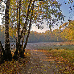 фото "Осенний лес."