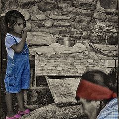 photo "Girl and shoti"