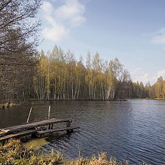 photo "весна"