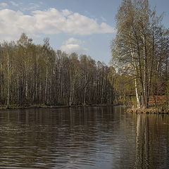 фото "Идилия весны"