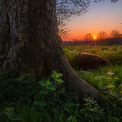 фото "Irish Country"