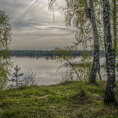 фото "Весна."