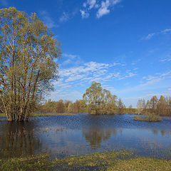 фото "Весенний разлив"