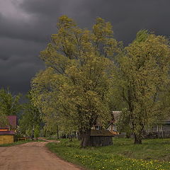 фото "Черемуховое похолодание"