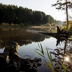 фото "Нижний Тагил"