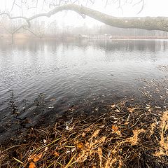 фото "Санкт-Петербург"