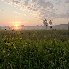 фото "По росе"