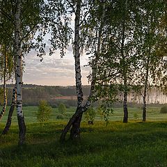 фото "летнее утро"