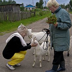 фото "Деревенские зарисовки"