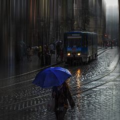 фото "А на улице дождь..."