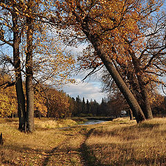 фото "Осенние мотивы"