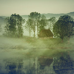 photo "Insel im Nebel"