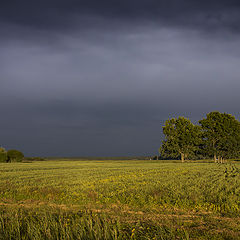 фото "Золотой час"