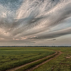 фото "Перекликнулось"