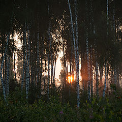 фото "Утро"