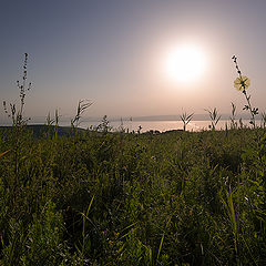 фото "Летние прогулки ..."