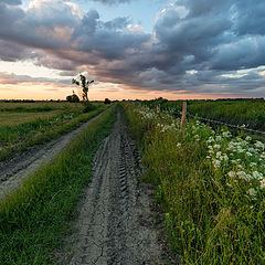 фото "Лето"