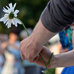 фото "Ромашковый бал"