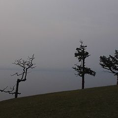 photo "***"