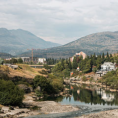 фото "В гармонии"