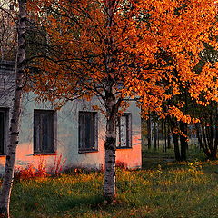 фото "осень в городе"