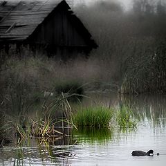 фотоальбом "Санкт-Петербург"