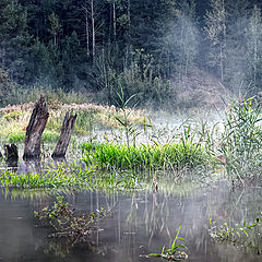 фото "Старый пруд"