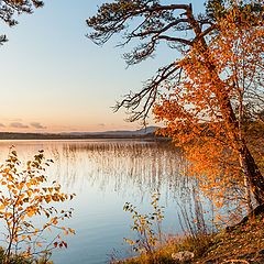 photo "Autumn in Ural"