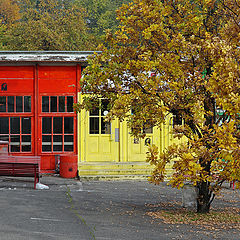 фото "Цвета осени"