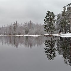 фото "Предзимье"